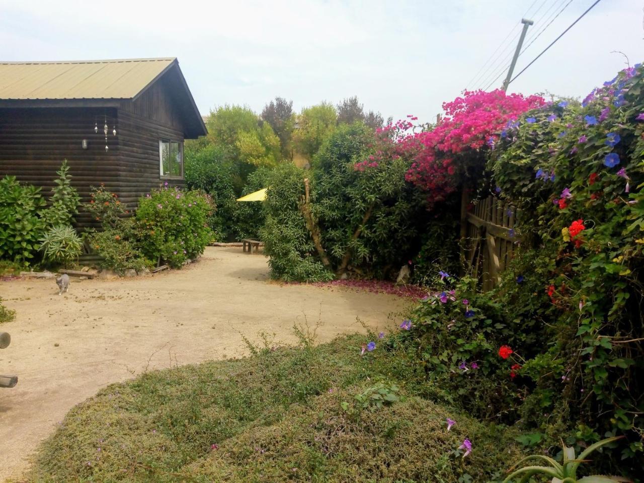 Cabana Los Laureles Villa Maitencillo  Exterior photo